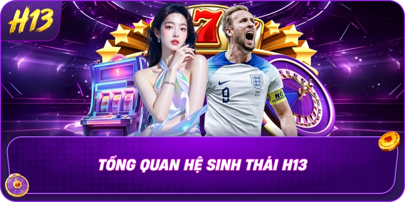 Tổng quan hệ sinh thái H13 